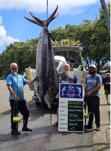 Load image into Gallery viewer, 10pcs Topwater Pencil Fishing Lure Kit – 0.46 oz Each, Ideal for Bass, Trout &amp; More